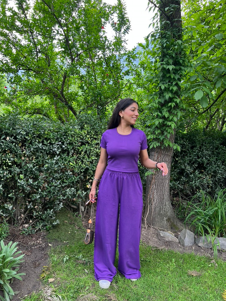 Dark Purple Half Sleeves Terry Set