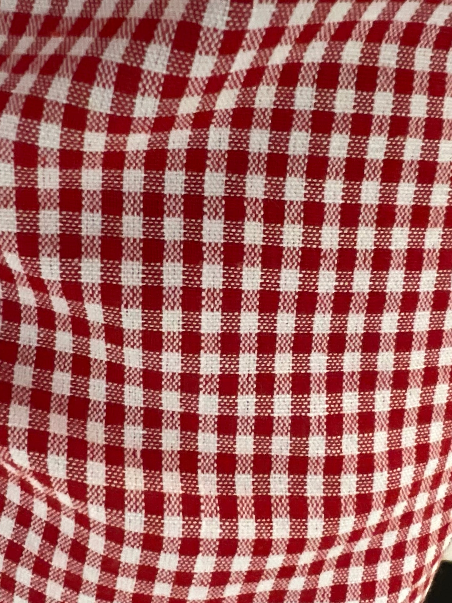 Red Half Sleeves Gingham Pant Set